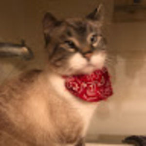 Meet your Posher, James